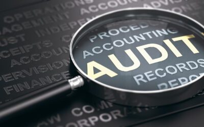 Audit Reporting in Highly Regulated Industries