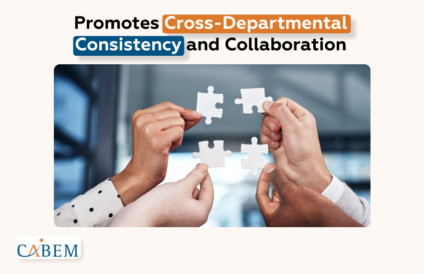 Promotes Cross-Departmental Consistency and Collaboration