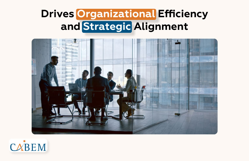 Drives Organizational Efficiency and Strategic Alignment